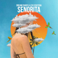 Dream Chaos - Senorita (by Shawn Mendes & Camila Cabello)