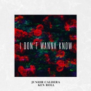 Junior Caldera, Ken Roll - I Don't Wanna Know (by Mario Winans)